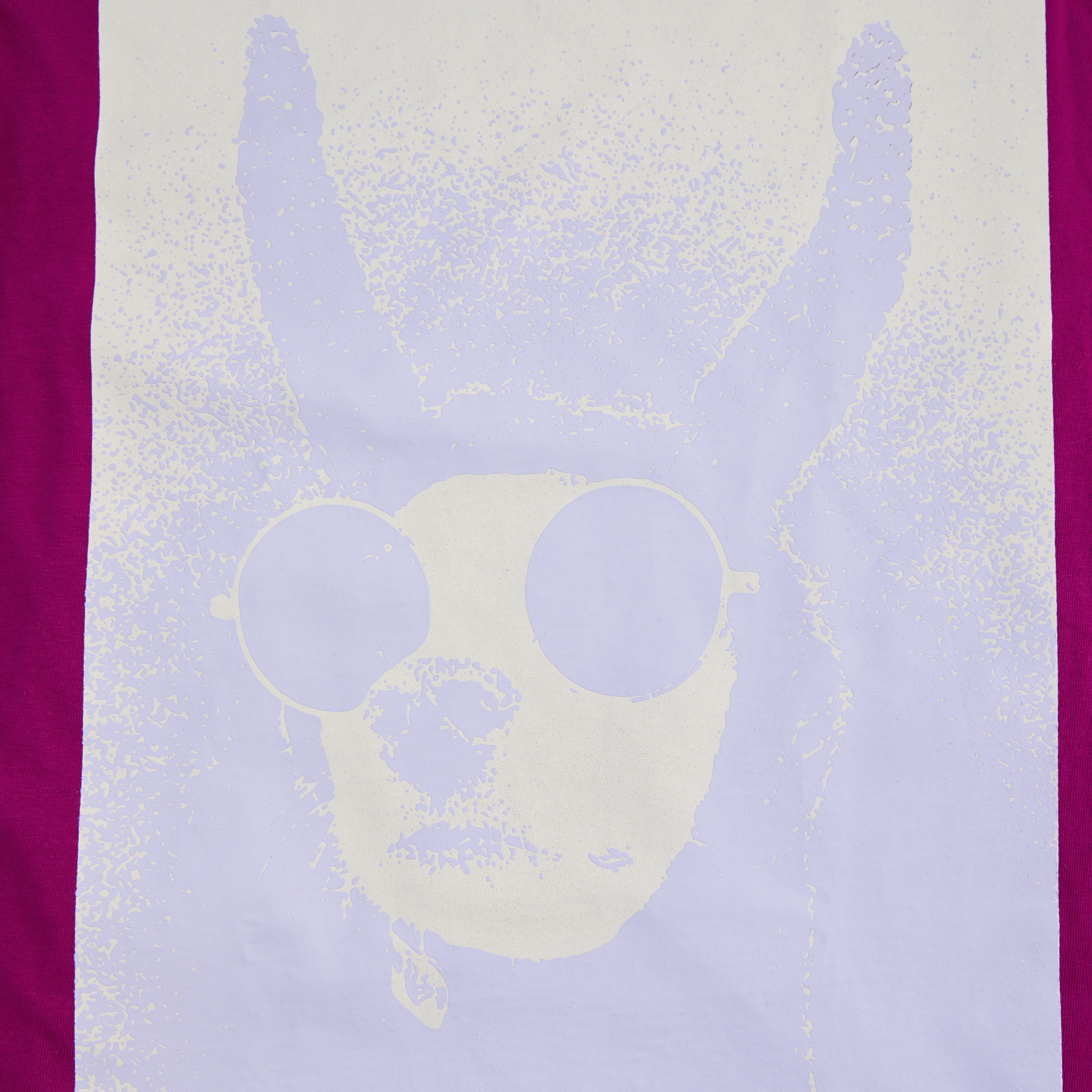 Dog From Hell Long Sleeve T-Shirt in Berry