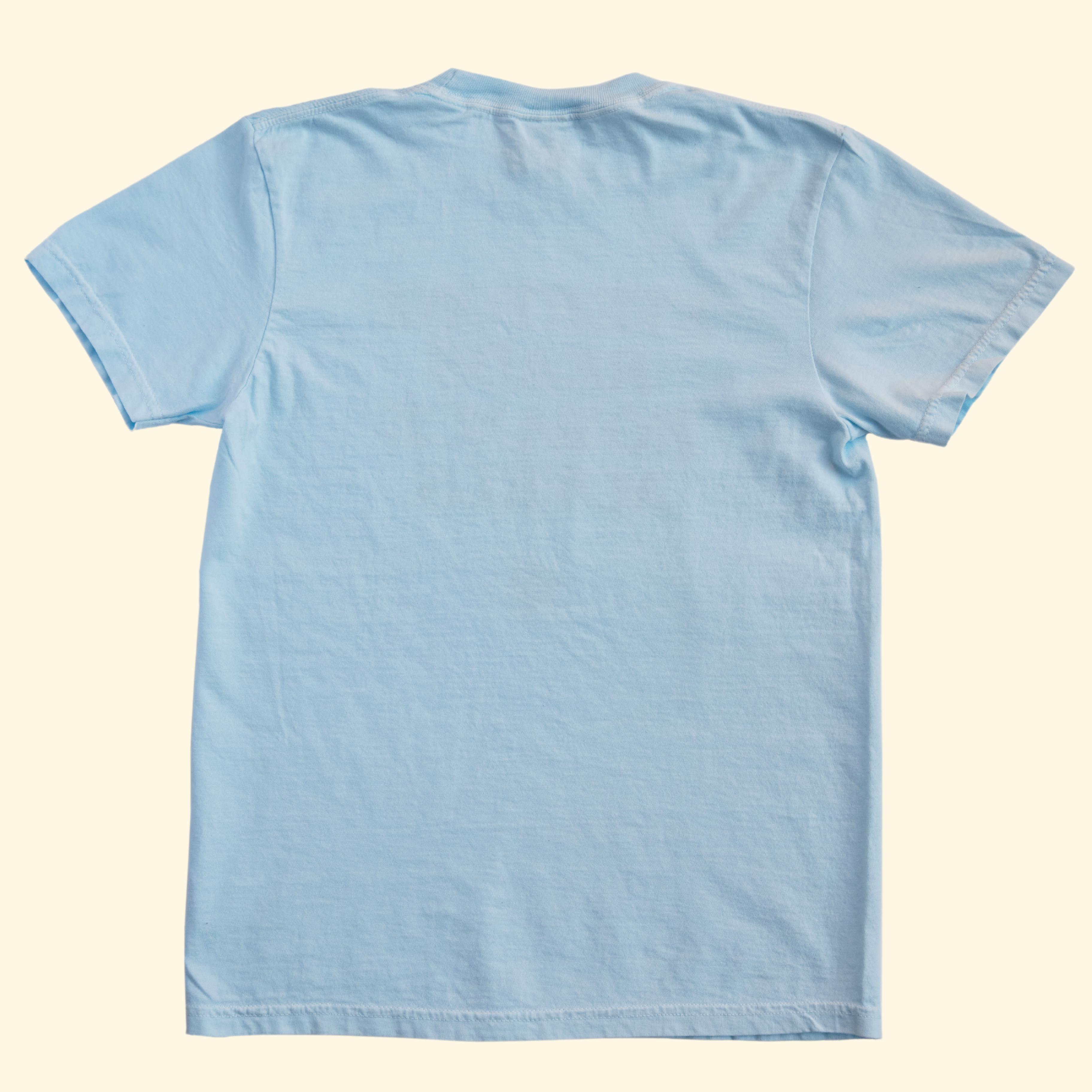 Everyone Reads Romance Novels T-Shirt in Blue